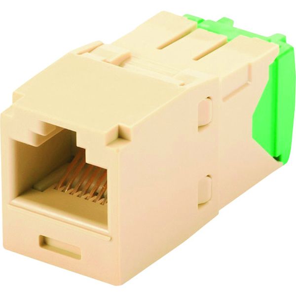 カテゴリ6 RJ45モジュラージャック UTP 28・30AWG TGタイプ アイボリ