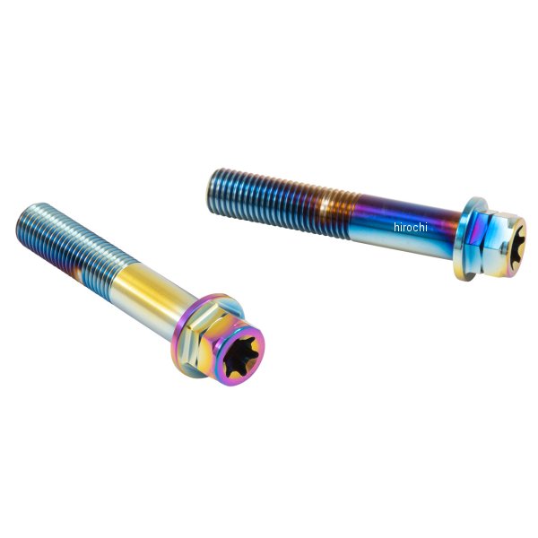 ブレンボ brembo ステンレスキャリパーマウントボルト 65mm フランジ六角 M10/P1.25 ヘクサロビュラ 2本入 チタン