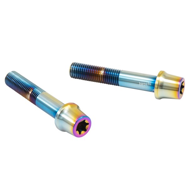 ブレンボ brembo ステンレスキャリパーマウントボルト 55mm テーパーキャップ M10/P1.25 ヘクサロビュラ 2本入 チタン