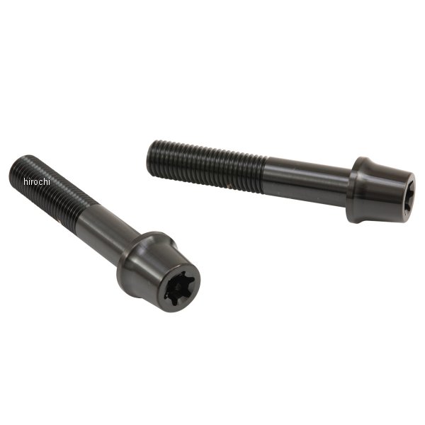 ブレンボ brembo ステンレスキャリパーマウントボルト 60mm テーパーキャップ M10/P1.25 ヘクサロビュラ 2本入 黒