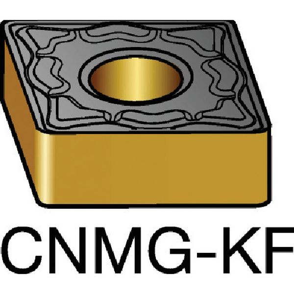 120408KF   チップ 3005 10個入り