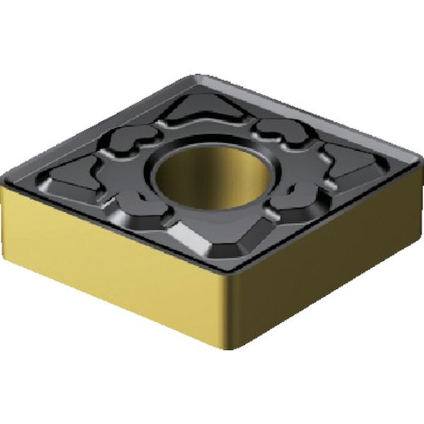 120408MM   T-MaxP チップ 2220 10個入り