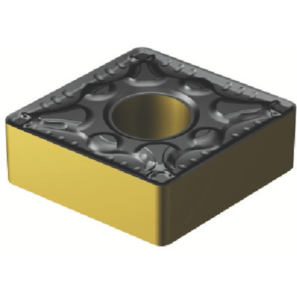 120408PM   T-MAXPチップ 4305 10個入り