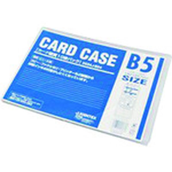D034JB54  192203カードケース硬質B5X10枚