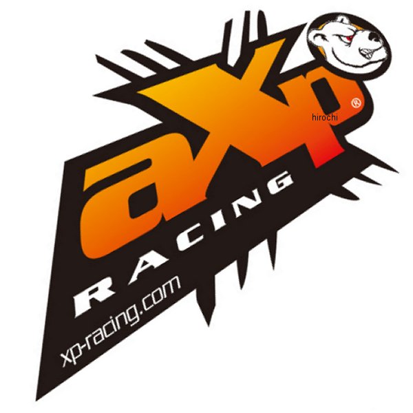 アイロンロゴ AXP エーエックスピー