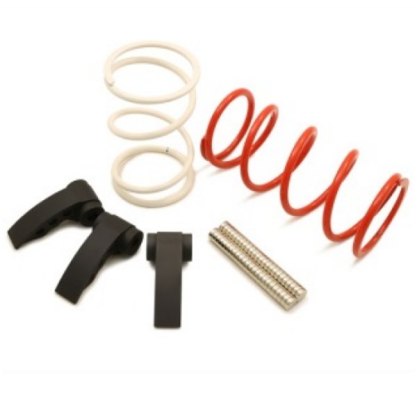 Dynojet 22-24 Polaris RZR Pro R Clutch Kit