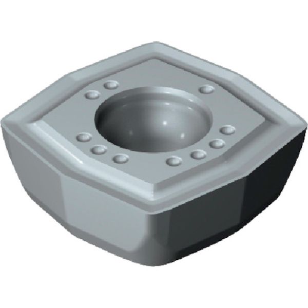 DS200205CL5 216-1000 コロドリルDS20チップ(365) H13A 10個入り