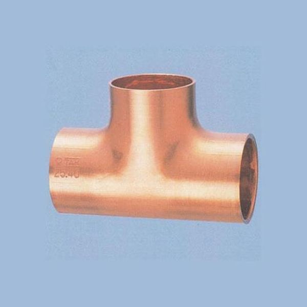 15.88mm チーズ (5個)