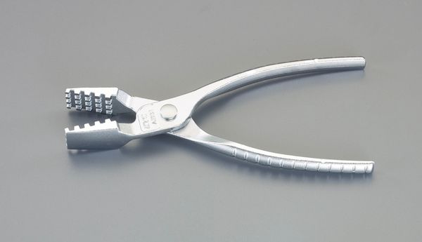 ﾎｰｽｸﾗﾝﾌﾟﾌﾟﾗｲﾔｰ(ｽﾀﾝﾀﾞｰﾄﾞ)