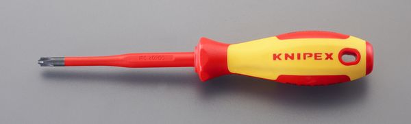 #2x100mm [PlusMinus]ﾄﾞﾗｲﾊﾞｰ(