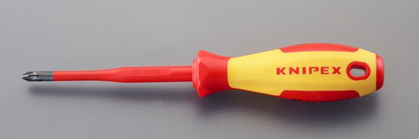 #2x100mm[Pozidriv]ﾄﾞﾗｲﾊﾞｰ(絶