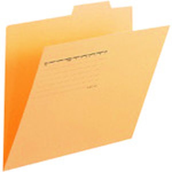 FL061IFYL 196-5989  87097個別フォルダ A4E イエロー