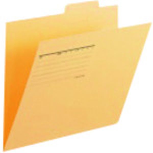 FL061KIFYL10  838213)間伐材個別フォルダ イエロー10枚