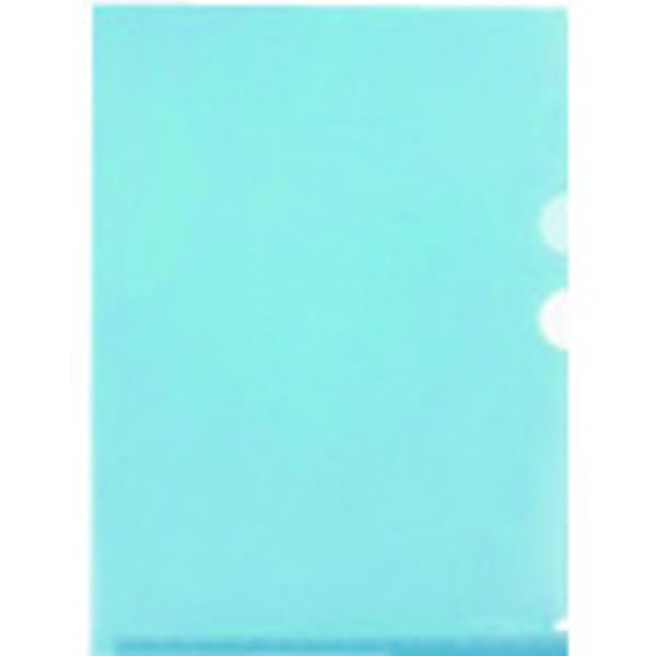 FL111CHBL 196-1318  88231)仕切り付ホルダー 3P  BL