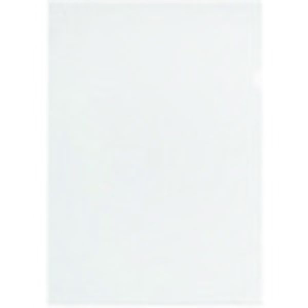 FL212HO 196-9349  88516)クリアーホルダーB4 10P