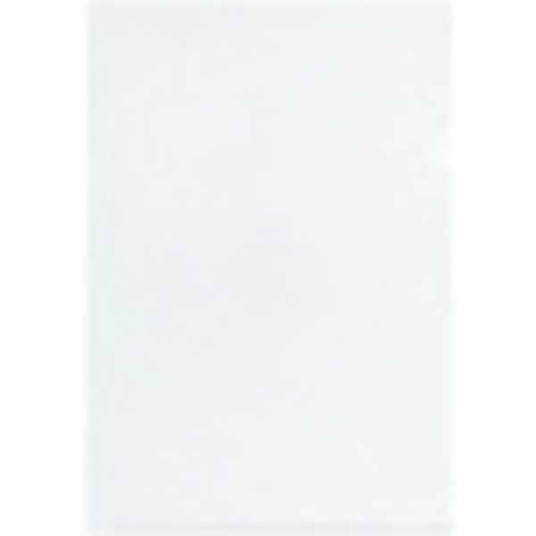 FL213HO 196-4580  88517)クリアーホルダーA4 10P