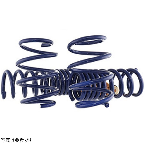 24年 Mustang GT Coupe (w/Passive Suspension) Track Lowering Spring Kit