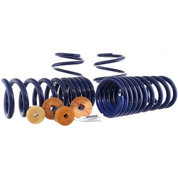 15-22 Mustang Track Lowering Spring Kit