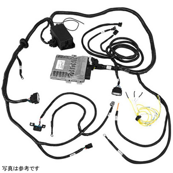 Control Pack - 2015年 Coyote 5.0L 4V TI-VCT Manual トランスミッション