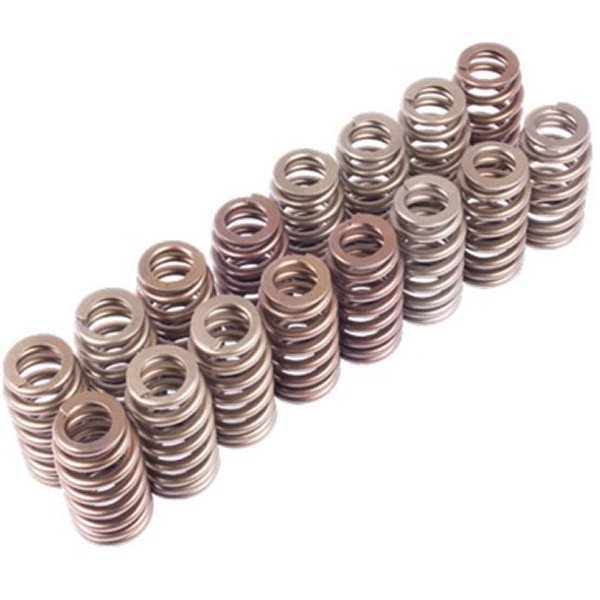 BOSS 302R Valve Spring Kit