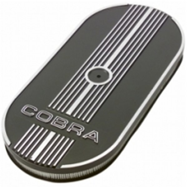 Oval Air Cleaner Assｙ