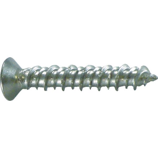 ノンプラビス ステンレス サラ Bドリルナシ  35本入