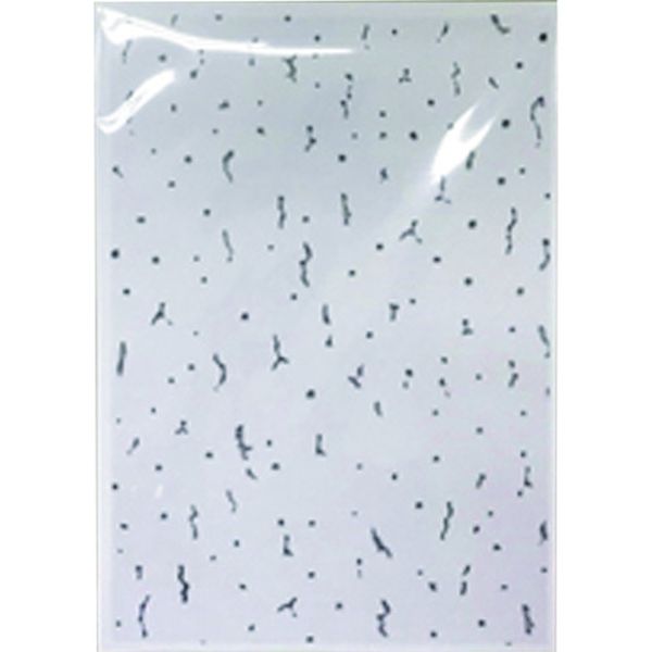 天井シール ジプトーン用 A4 1パック(10枚入)