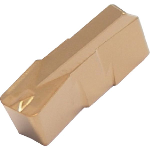 A カットグリップチップ IC656 10個入り