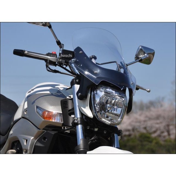 ガイラシールド クリア GSR600