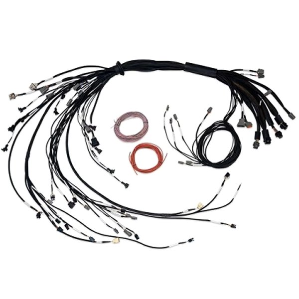 Nexus R5 LSx Non DBW Terminated Harness