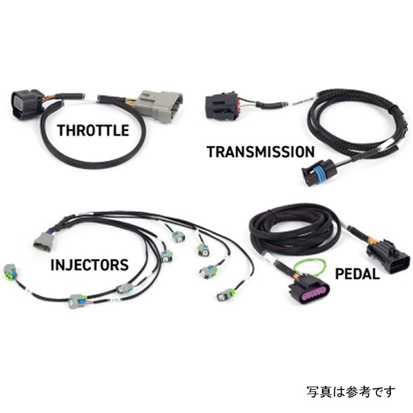 NEXUS Rebel LS Kit (Suits Gen IV) 6-Pin DBW Throttle/EV6 Injectors/Manual Transmission