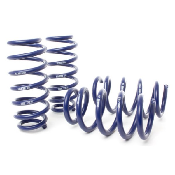 20-22 Tesla Model Y AWD Performance Sport Spring (Non Air Susp.)