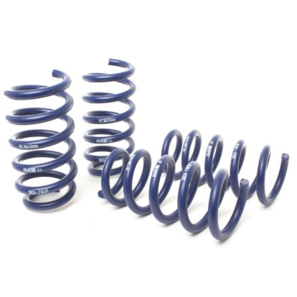 19-21 BMW X5 M50i/X5 xDrive40i/X5 xDrive50i G05 Sport Spring