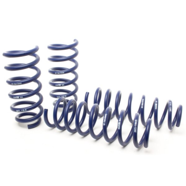 12-22 Tesla Model S (AWD) Sport Spring (Non Air Susp.)