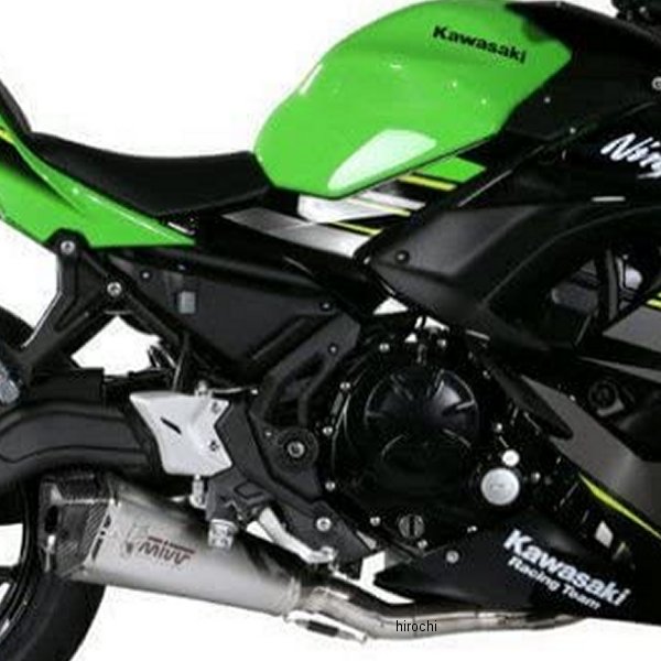 フルエキゾーストマフラー DELTA RACE 触媒なし 17年-21年 Ninja650 ステンレス