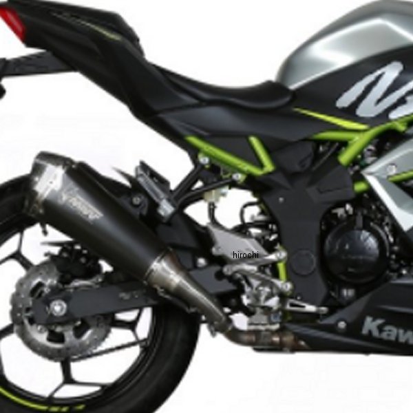 スリップオンマフラー DELTA RACE 19年-21年 Ninja125 ブラックステンレス