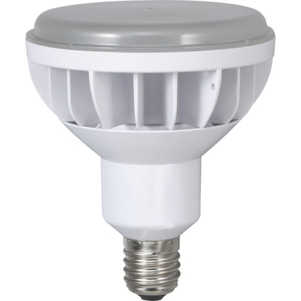 LDR40NH110 126-5021  40WLED作業灯 交換球