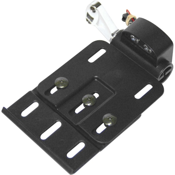 サイドナンバープレートマウント ライト付き