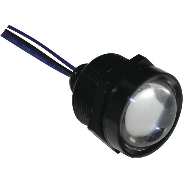 ロイヤルフラッシュLED 1インチ 黒/赤 6個入り