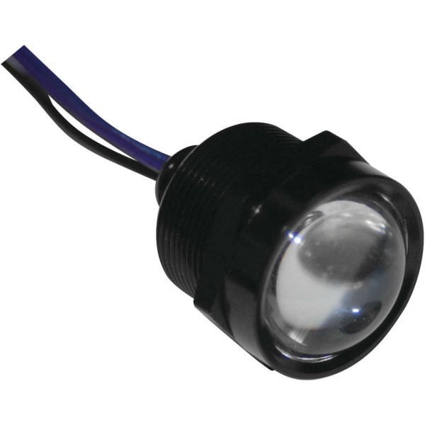 ロイヤルフラッシュLED 1インチ 黒/赤/赤 6個入り