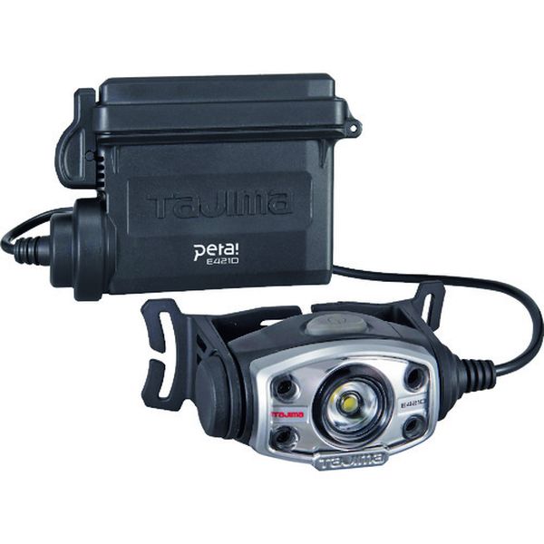 LEDヘッドライトE421Dセット