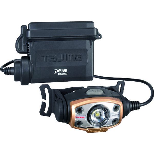 LEDヘッドライトE501Dセット