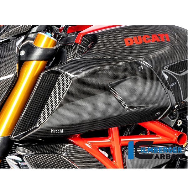 エアーチューブカバー 左側 艶あり 19年-20年 ディアベル1260