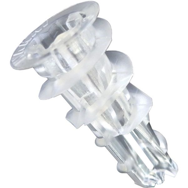 かべロック スケルトン