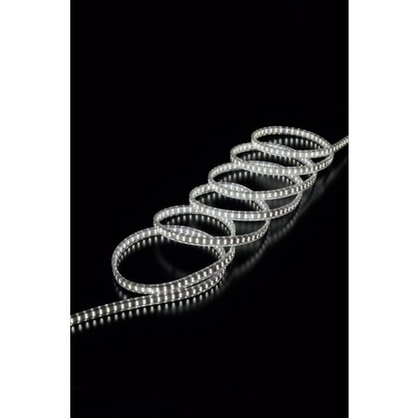 LTP10D  LEDテープライト両面発光タイプ(10m)単体(テープライトのみ)