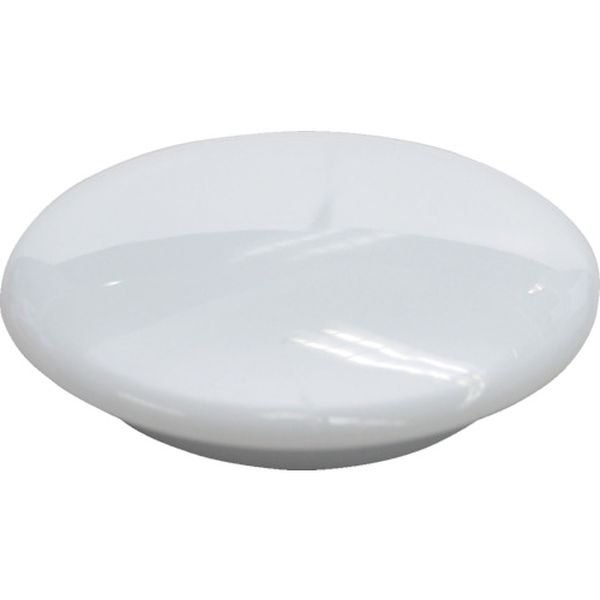 カラーボタン30Φ5P-白