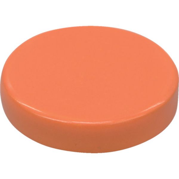 カラーマグネット橙2P