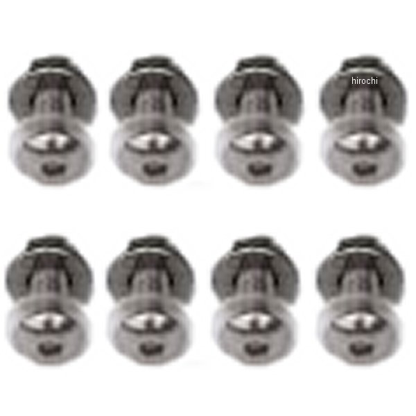 ビキニカウル用 スクリーンビスセット(1台分)