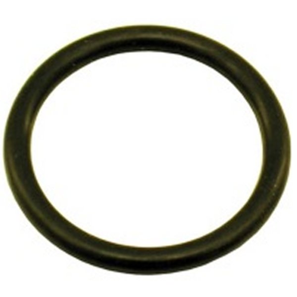 1-1/8 O-Ring (Fits 5lb/10lb/12lb/15lb Bottle Valve)