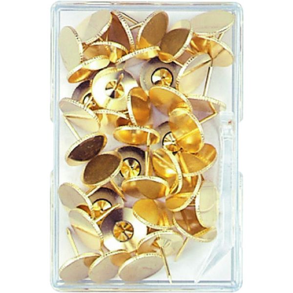 二重画鋲足長 40本 M10154